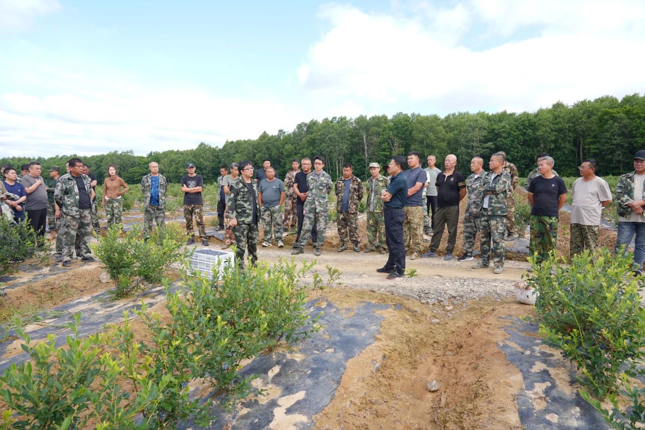 1753664051618842.jpg 微信圖片_20250728085036.jpg